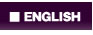 ENGLISH PAGE